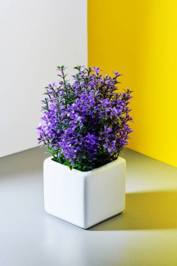 Gri-sarı beyaz arka planda bir saksı leylak çiçeği