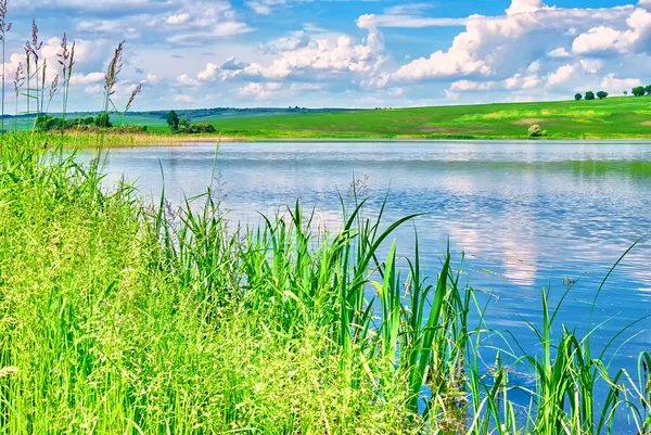 lake and green fields