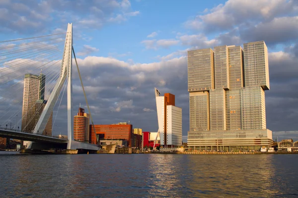 Rotterdam, Hollanda panoramik Erasmus Köprüsü ve Rotterdam bağlantı noktası üzerinden görüntüleyin. Hollanda.