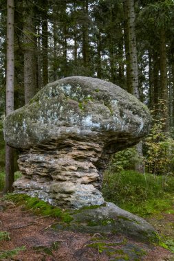Doğa rezervi - Broum duvarının sırtı. Rocky oluşumları, geçitler, ormanlar turistler için ulaşılabilirdir. Broumov Upland 'da, polis nad Metuj ve Broumov kasabaları arasında, kuzeydoğu Bohemya' da. Çek Cumhuriyeti 'nde turizm.