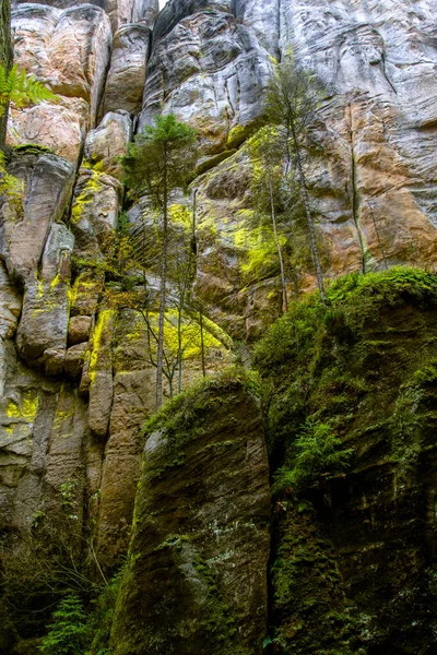 Çek Cumhuri Yeti Adrspach Teplitskie Brees Ekim 2020 Çek Rock — Stok fotoğraf