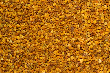 Gevşek arı poleni dokusu, üst manzara. Beslenme takviyesi olarak kullanılan arı ürünleri. Bağışıklık sistemini güçlendirmek için sağlık ve süper gıda, yüksek miktarda antioksidan, antosiyanin, mineral ve vitamin. Metin tasarımı veya eklenmesi için konsept.