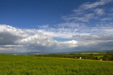 Güneşli bir yaz gününde yeşil alan manzarası. Doğal manzara..