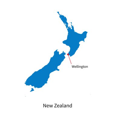 wellington, Yeni Zelanda ve sermaye şehir haritası detaylı vektör