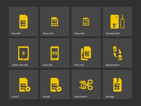 Set of SIM cards different sizes icons. — Stock Vector