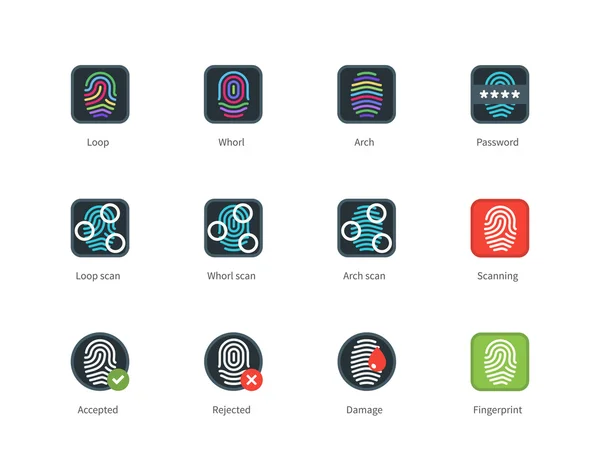 Fingerprint types and Scanning color icons on white background. — Stock Vector