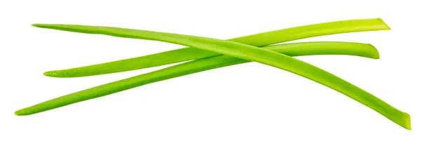 Зеленый Лук Обрезкой Пути Белом Изолированном Фоне — стоковое фото