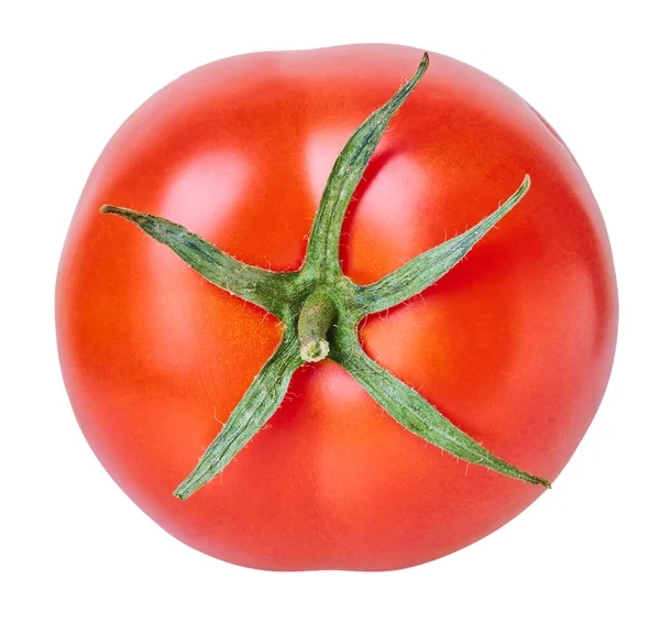 Tomate Auf Weißem Isoliertem Hintergrund Mit Schneideweg Stockbild
