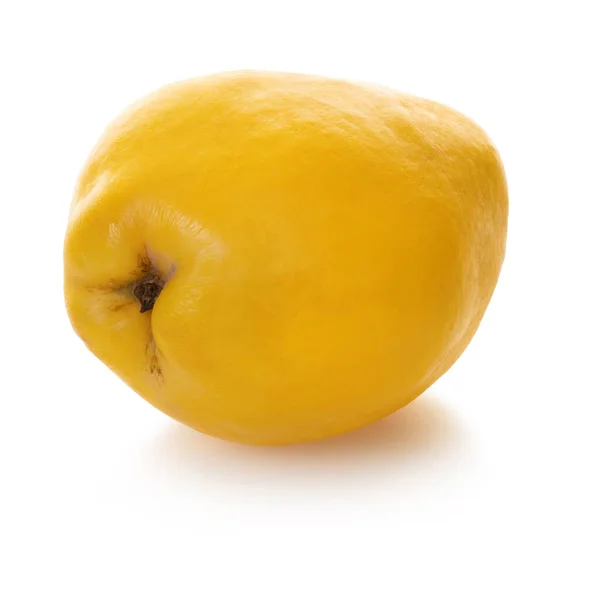 Owoce Pigwy Białym Izolowanym Tle Plastrem — Zdjęcie stockowe