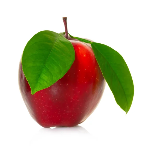 Rote Apfelfrüchte Auf Weißem Isolierten Hintergrund — Stockfoto
