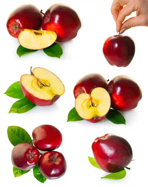 Set Red Apples Fruit White Isolated Background — Fotografia de Stock
