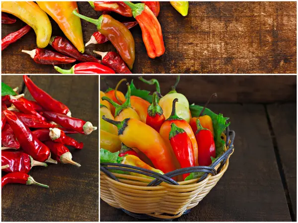 Kollázst a különböző chili paprika — Stock Fotó