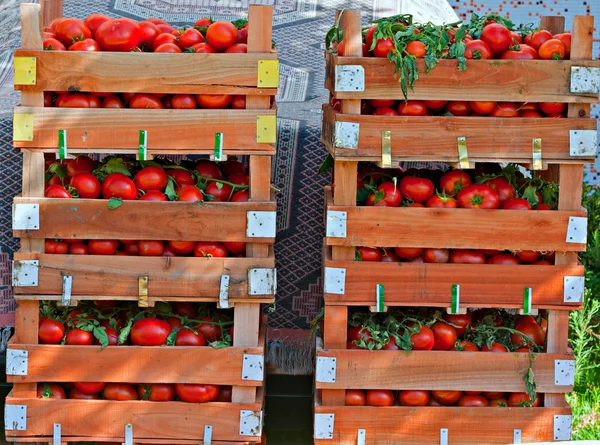Коробки с помидорами на уличном рынке — стоковое фото