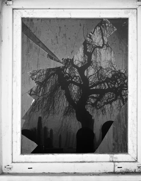 Při pohledu skrz rozbité okno na hřbitov — Stock fotografie
