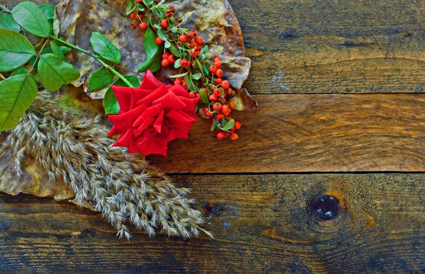 Rose rouge et feuillage sur table en bois — Photo