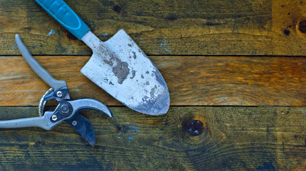 Attrezzi da giardinaggio su tavole di legno rustico — Foto Stock