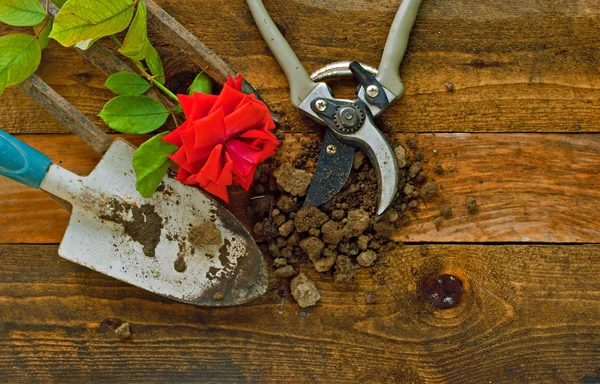 Rustik ahşap kurullarında Bahçe aletleri — Stok fotoğraf