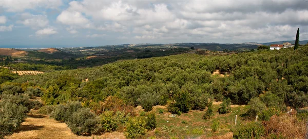 Vue panoramique sur campagne dégagée — Photo