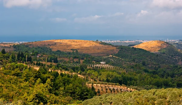 Vue panoramique sur campagne dégagée — Photo