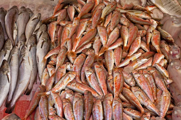 Vários peixes recém-capturados à venda — Fotografia de Stock