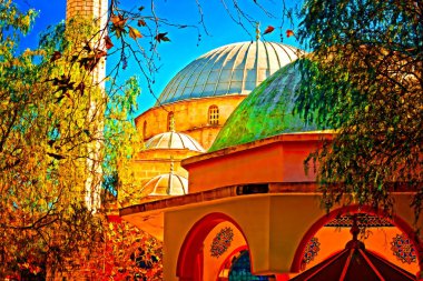 Digital painting of a colouful Turkish Mosque clipart