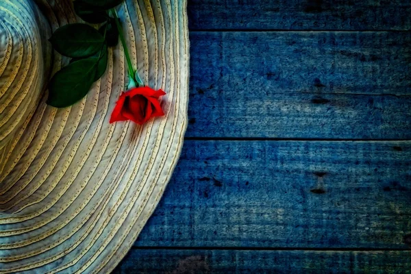 Dipinto digitale di un cappello da sole da donna con rosa rossa — Foto Stock