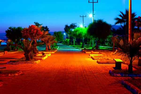 Pintura digital de jardins coloridos à noite — Fotografia de Stock