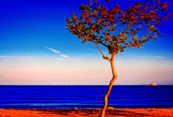 Yalnız ağaç Deniz Manzaralı — Stok fotoğraf