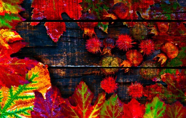 Una pintura digitalmente construida de coloridas hojas y vainas de otoño dispuestas en tablas de madera —  Fotos de Stock