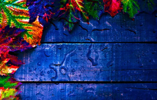 A digitally constructed painting of Colorful autumn leaves and pods arranged on wooden boards — Stock Photo, Image
