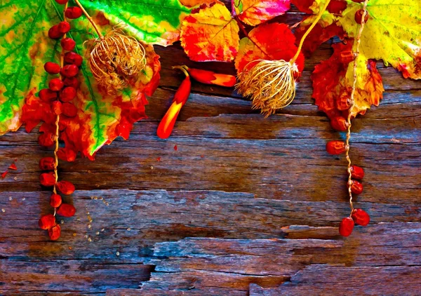 A digitally constructed painting of Colorful autumn leaves and pods arranged on stripped bark. — Stock Photo, Image