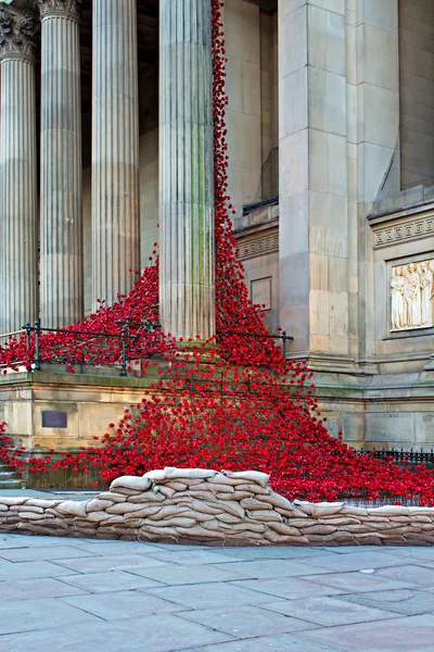 LIVERPOOL UK, 8 de dezembro de 2015. Janela de pranto Poppy Escultura — Fotografia de Stock