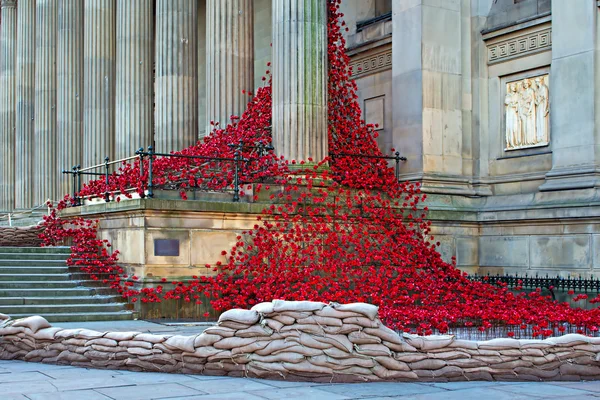 LIVERPOOL UK, 8 de dezembro de 2015. Janela de pranto Poppy Escultura — Fotografia de Stock