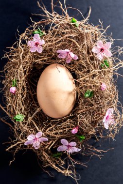 Tek yumurta yuva bahar çiçekleri ile