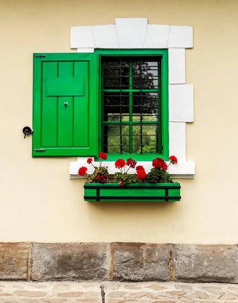 Groene venster met plantenbak en luiken — Stockfoto