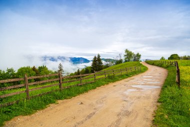 Yağmurdan sonra Bucegi Dağları 'nın dağ yollarındaki manzara.