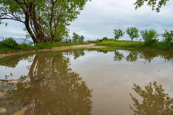 Landelijk Tafereel Weerspiegeld Water Weg Gelegen Bran Roemenië — Stockfoto