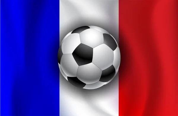 France flag with soccer balls — Stock Vector