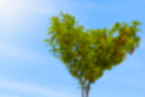 Corona sfocata di albero con foglie a forma di cuore su cielo blu — Foto Stock