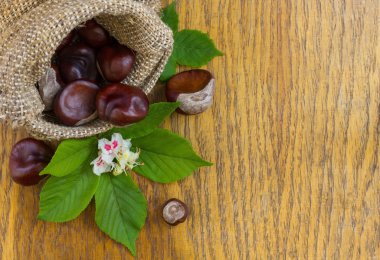 Çuval bezi ahşap dokulu Tarih içinde kestane