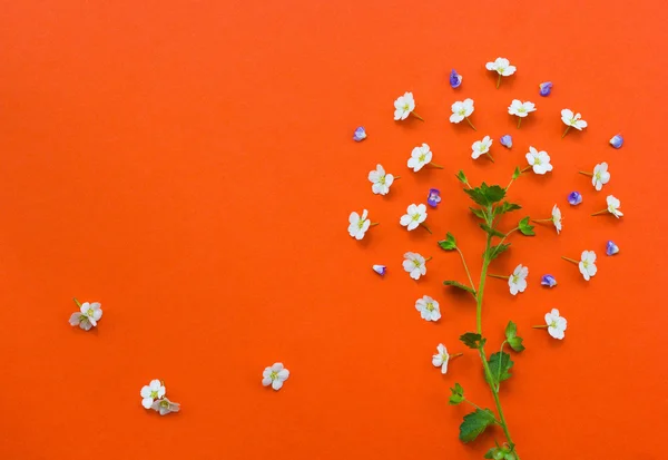 Creative tree made from white flowers on orange background.Yarro