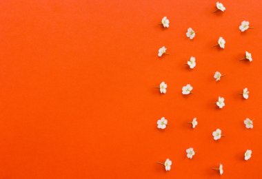 Boşluk turuncu zemin üzerine beyaz çiçeklerle