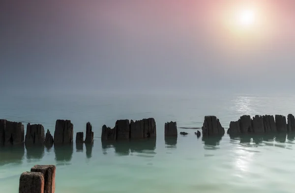 Pillars in water in a foggy morning — Stock Photo, Image