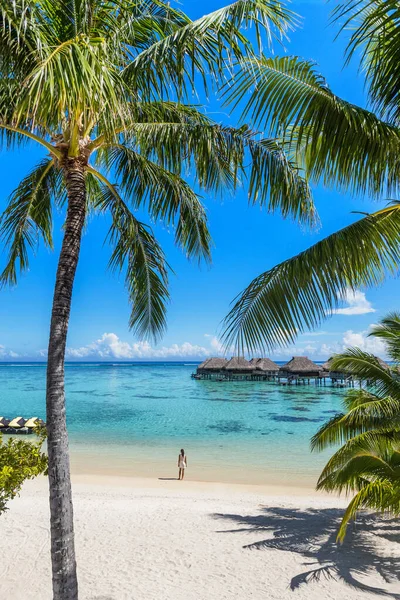 Tahiti-Urlauberin im Luxus-Resort. Französisch-Polynesien Reiseziel Touristen entspannen am türkisfarbenen unberührten Wasser im Ozeanparadies mit Palmen Hintergrund — Stockfoto