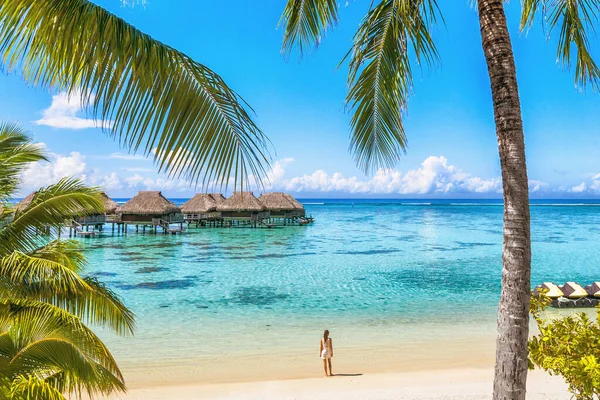 Lüks Tahiti plajı tatil beldesi turisti Polinezya sahilindeki okyanus suyunda yürüyor Fransız Polinezyası 'ndaki bungalov otelinde, Güney Pasifik' teki Moorea adasında ünlü kaçış noktası — Stok fotoğraf