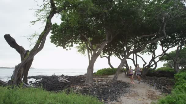 Paar lopen op bospad langs het strand — Stockvideo