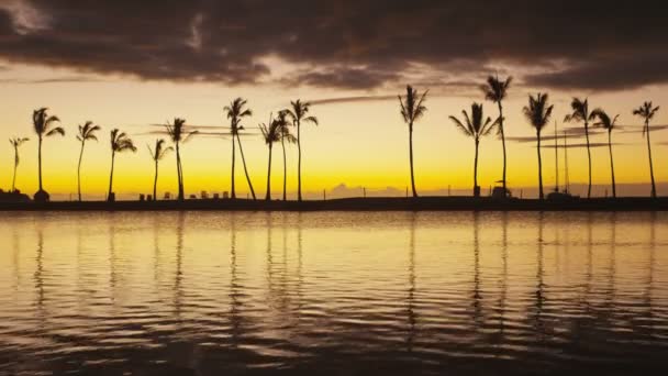 Ráj pláž západ slunce krajina s tropickými palmami silueta — Stock video