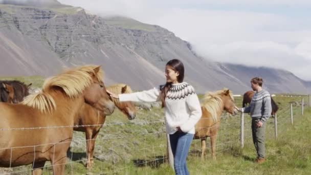 Kůň - žena mazlení islandských koní ve svetru na Islandu. — Stock video