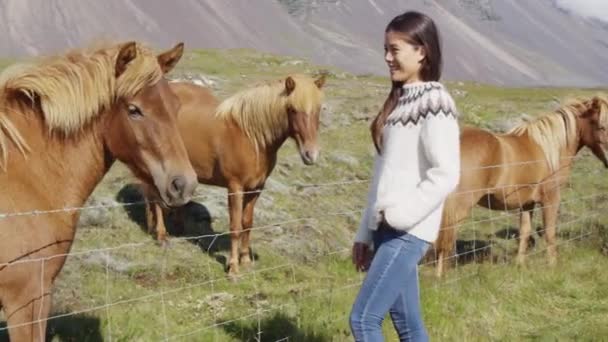 Caballos - mujer acariciando a caballo islandés en jersey en Islandia. — Vídeo de stock