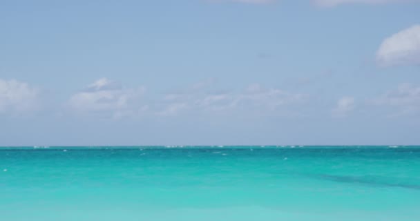 Beach background - perfect Caribbean blue water and clear sky — Stock Video